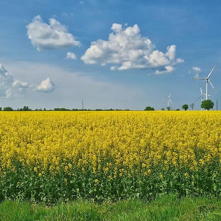 Agroturystyka Nowy Krakow Jezyce 外观 照片