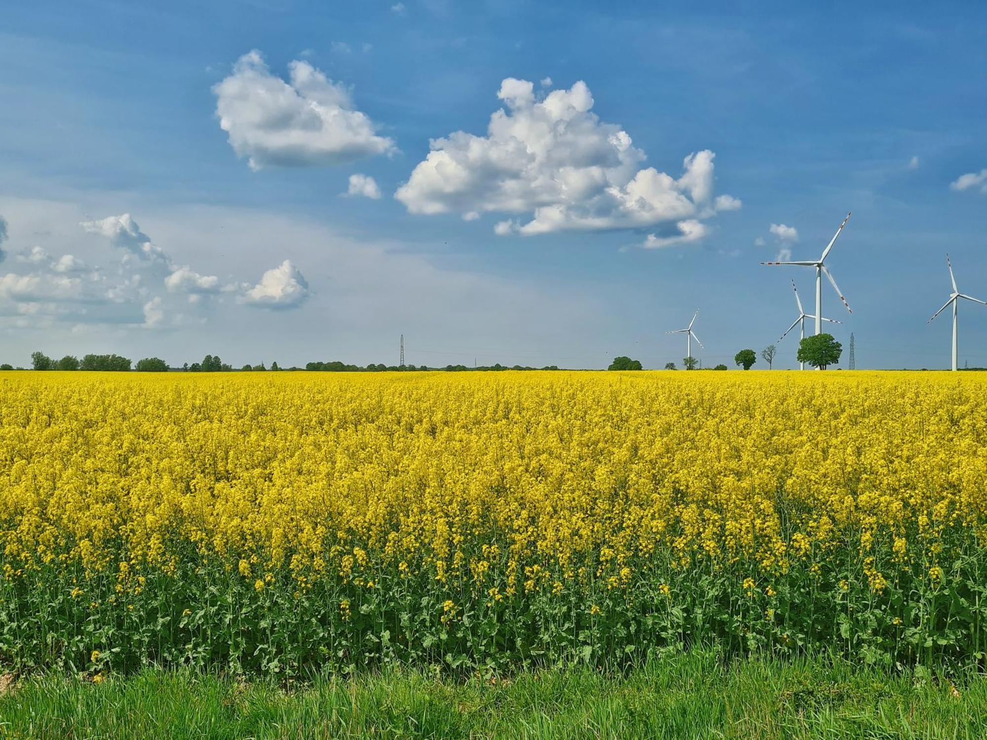 Agroturystyka Nowy Krakow Jezyce 外观 照片